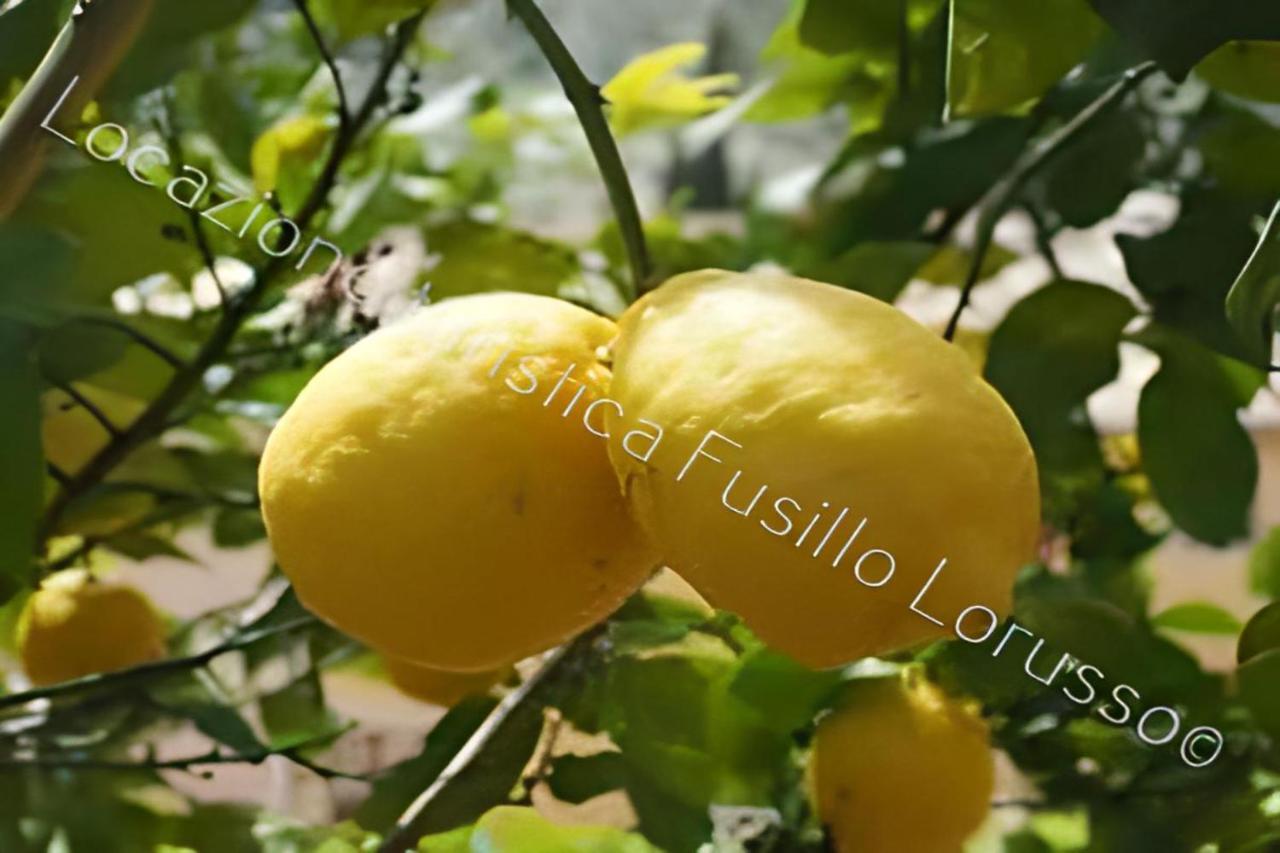 바를레타 Locazione Turistica Fusillo Lorusso Con Parcheggio Privato In Loco 아파트 외부 사진